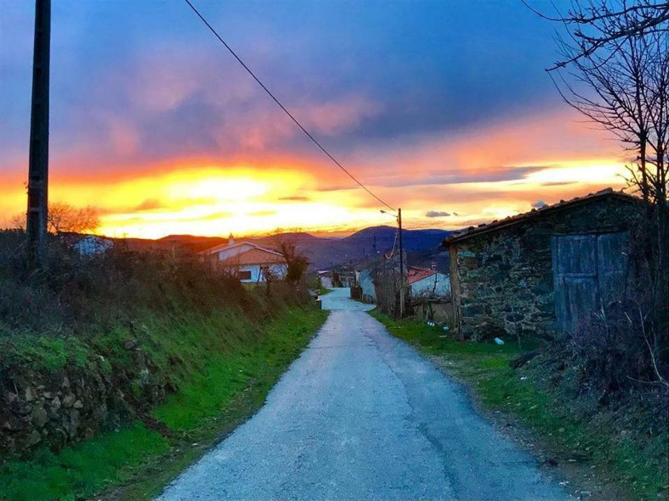 Casa Do Pomar ξενώνας Bragança Εξωτερικό φωτογραφία