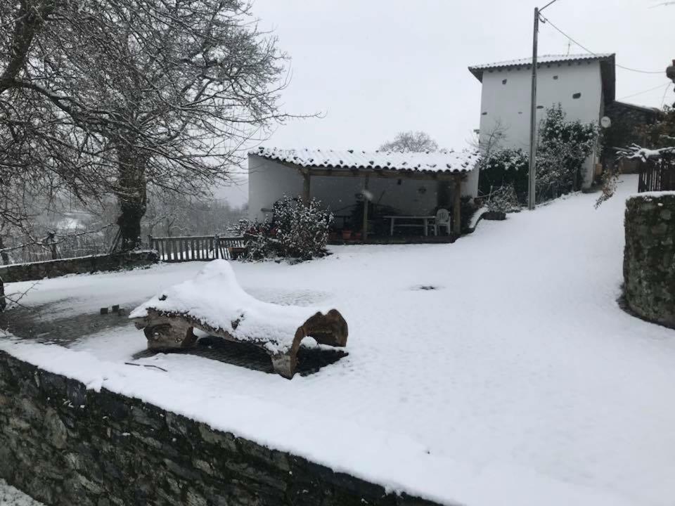 Casa Do Pomar ξενώνας Bragança Εξωτερικό φωτογραφία